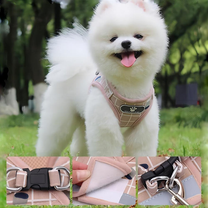 PetMacro-Dog leash-outdoor