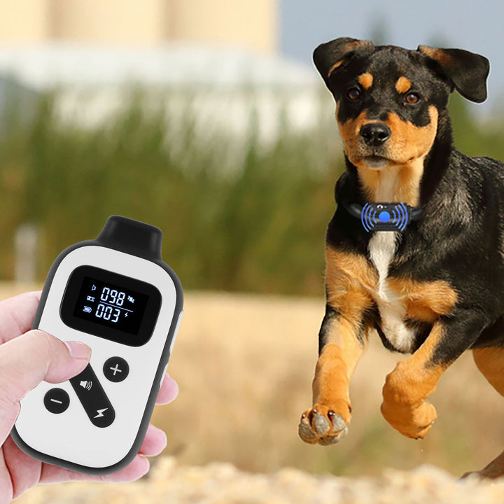 PetMacroDogTrainingCollars-Outdoor