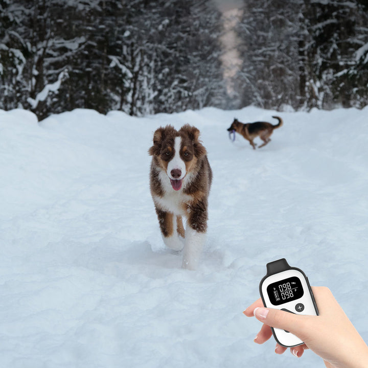 PetMacroDogTrainingCollars-TheSnow